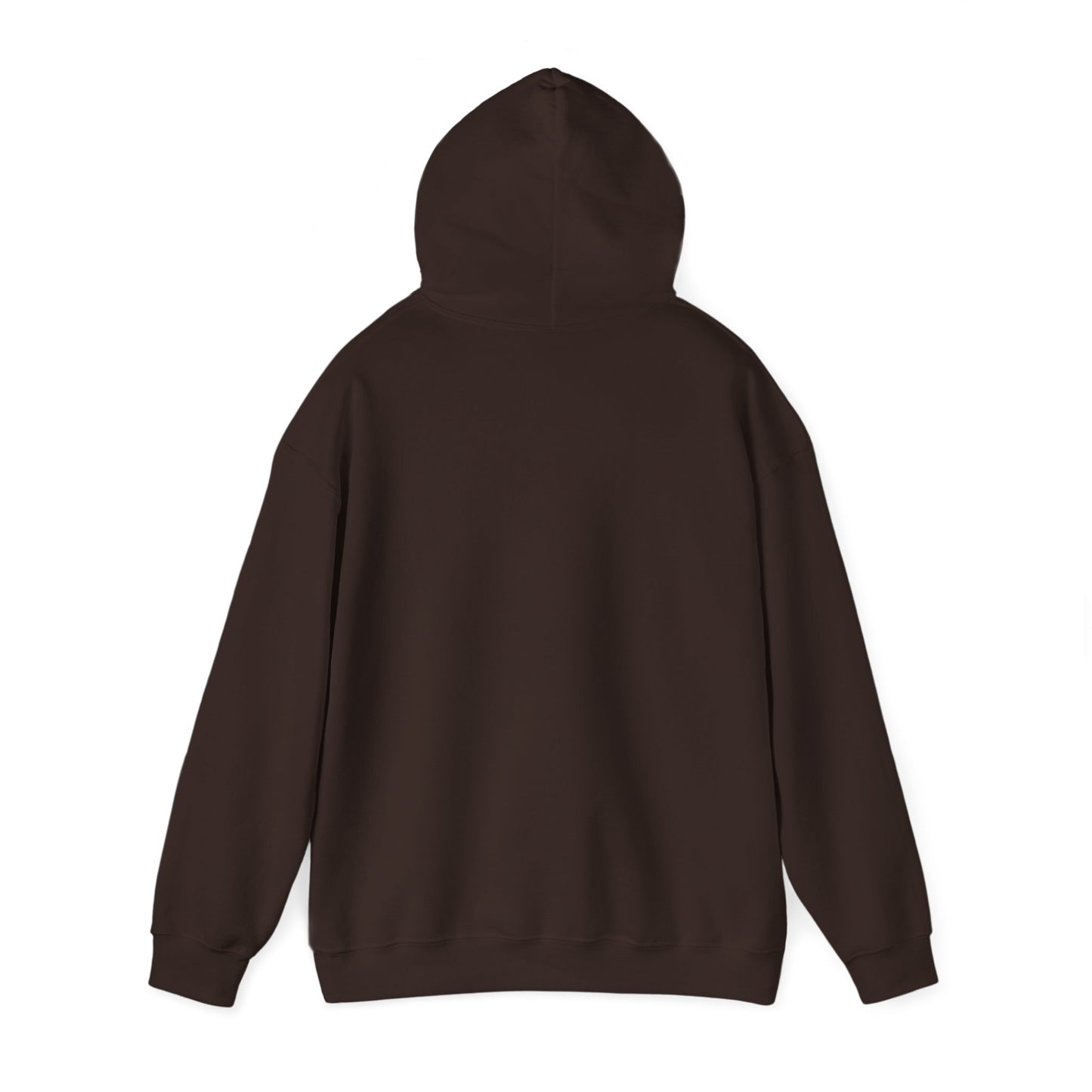 Apologician Hooded Sweatshirt