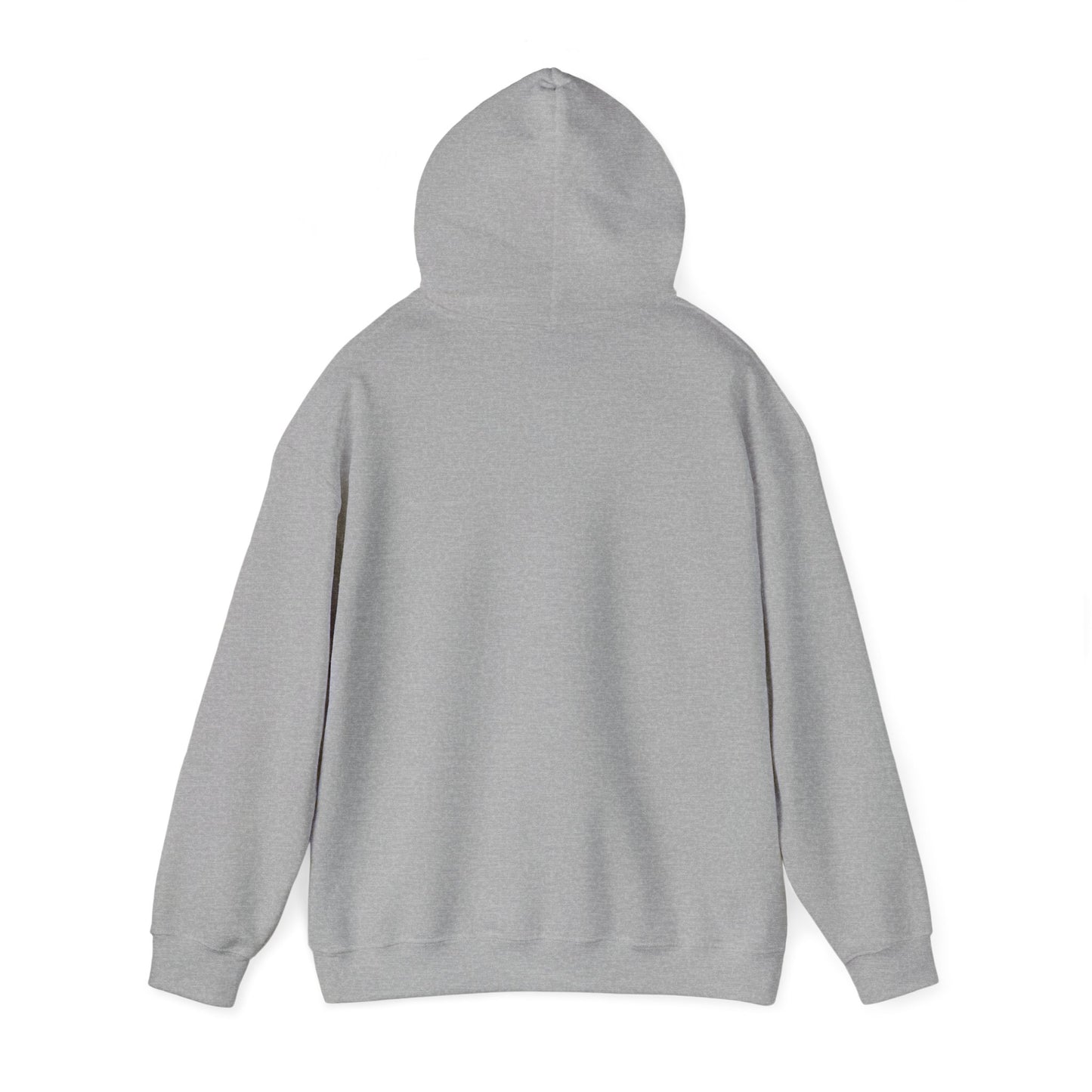 Apologician Hooded Sweatshirt