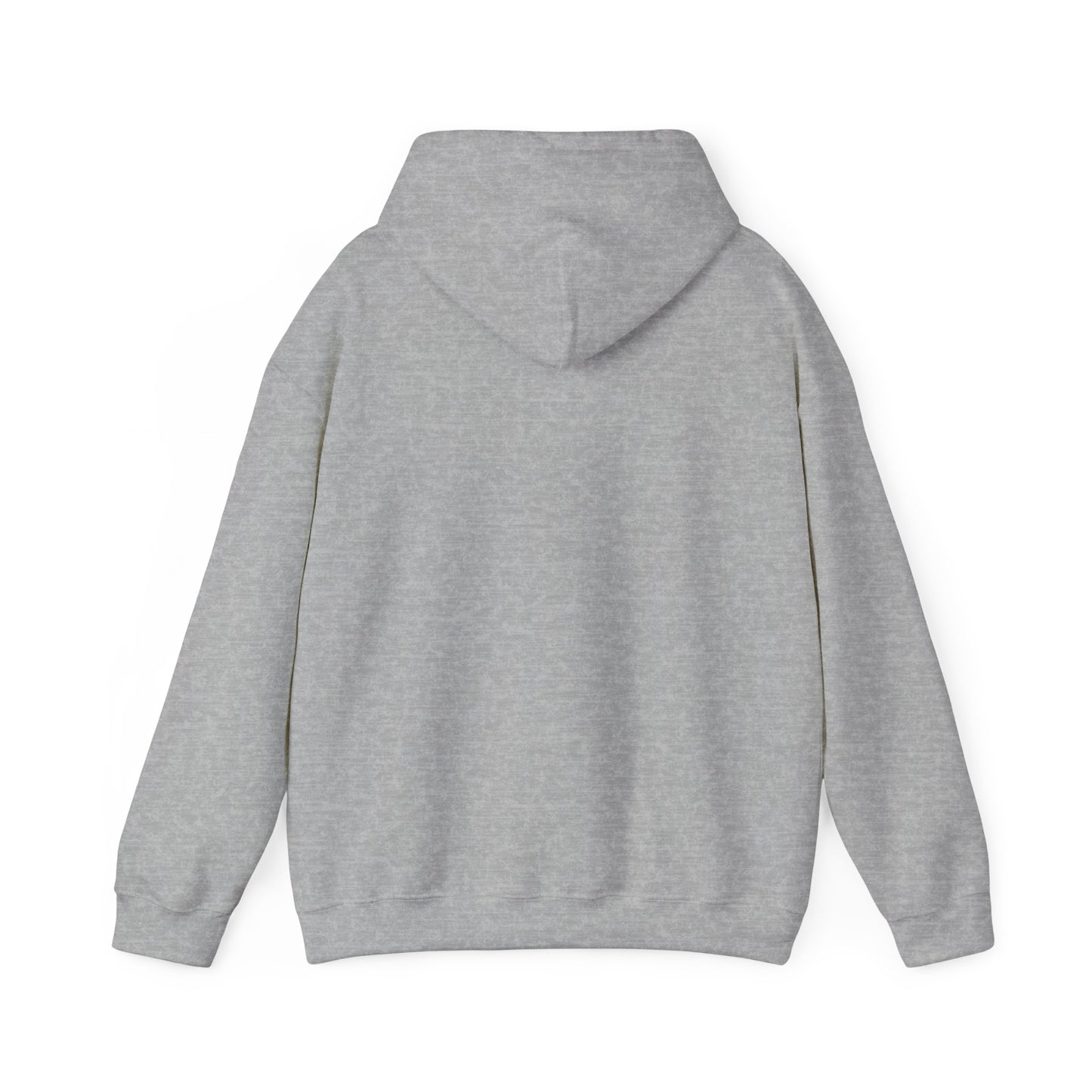 Apologician Hooded Sweatshirt