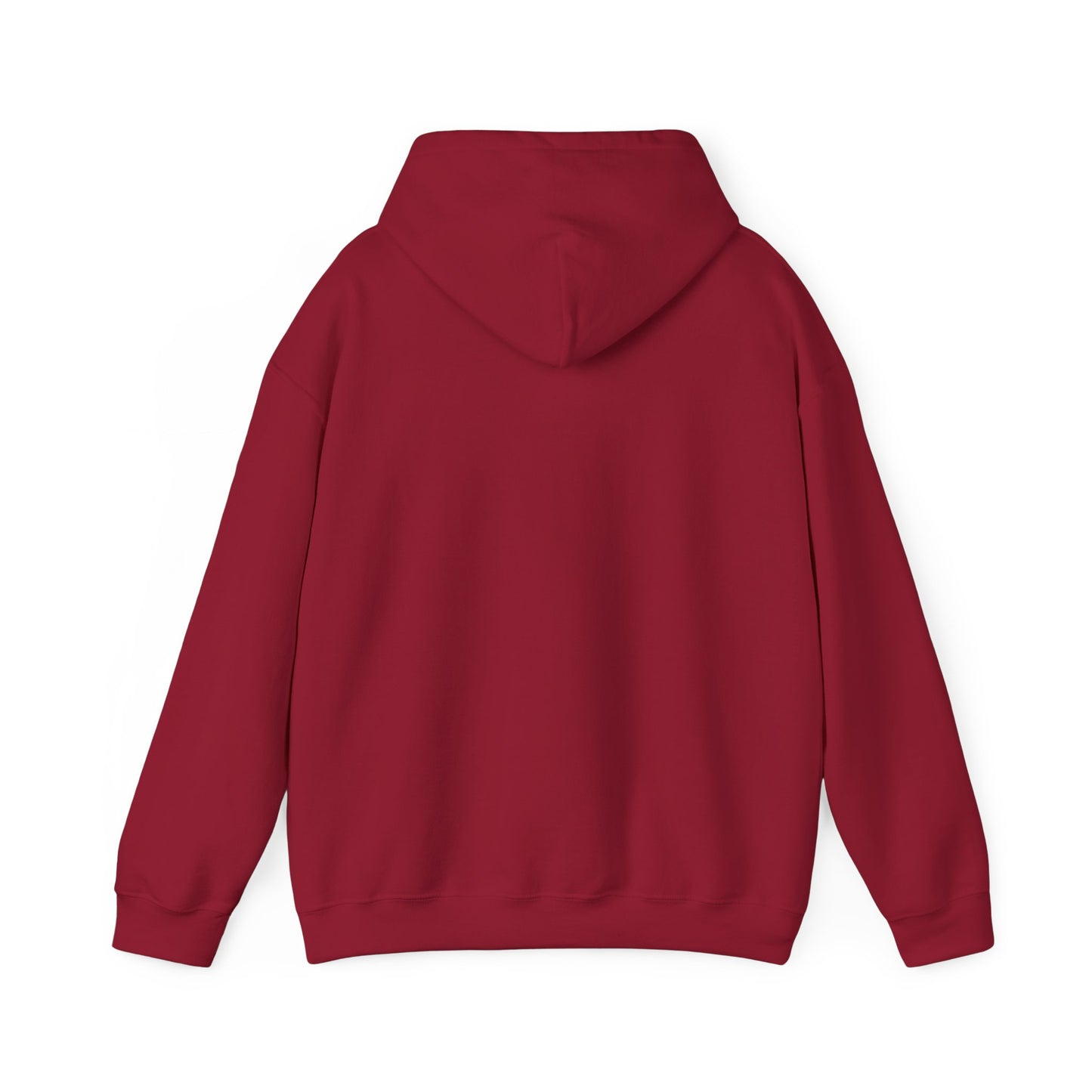 Apologician Hooded Sweatshirt