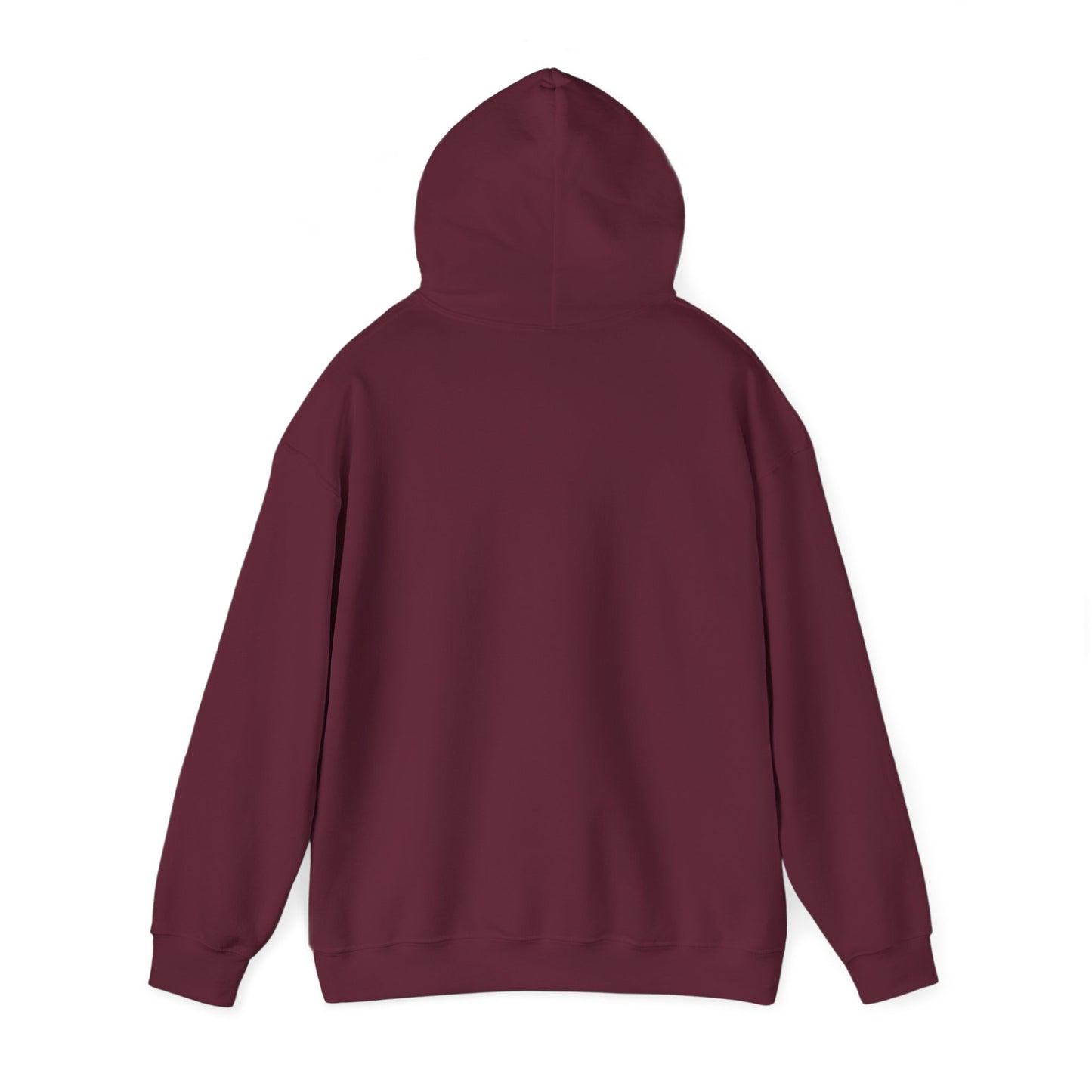 Apologician Hooded Sweatshirt